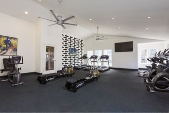 Fitness center with rowing machines and exercise bikes